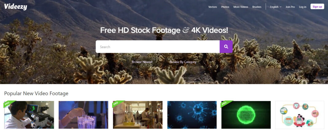 50 Best Free Stock Video Sites