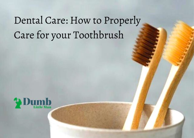 Dental Care How To Properly Care For Your Toothbrush