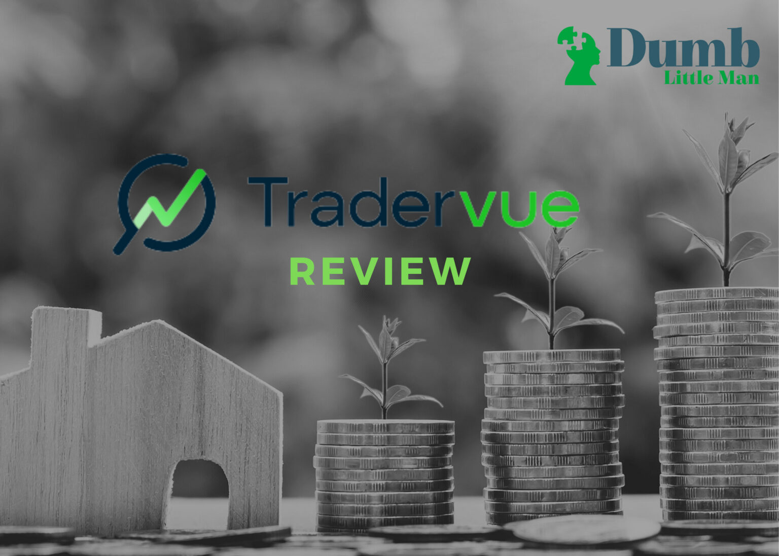 Tradervue Review: Will It Really Improve Trading Performance? • Dumb ...