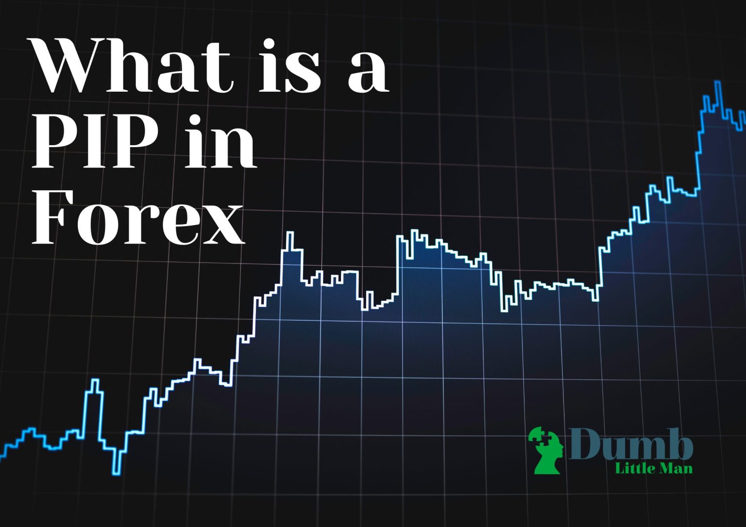 What Is A PIP In Forex Dumb Little Man   What Is A PIP In Forex 1536x1086 