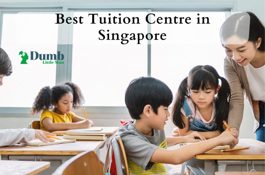 5 Best Tuition Centres In Singapore 2023 • Dumb Little Man