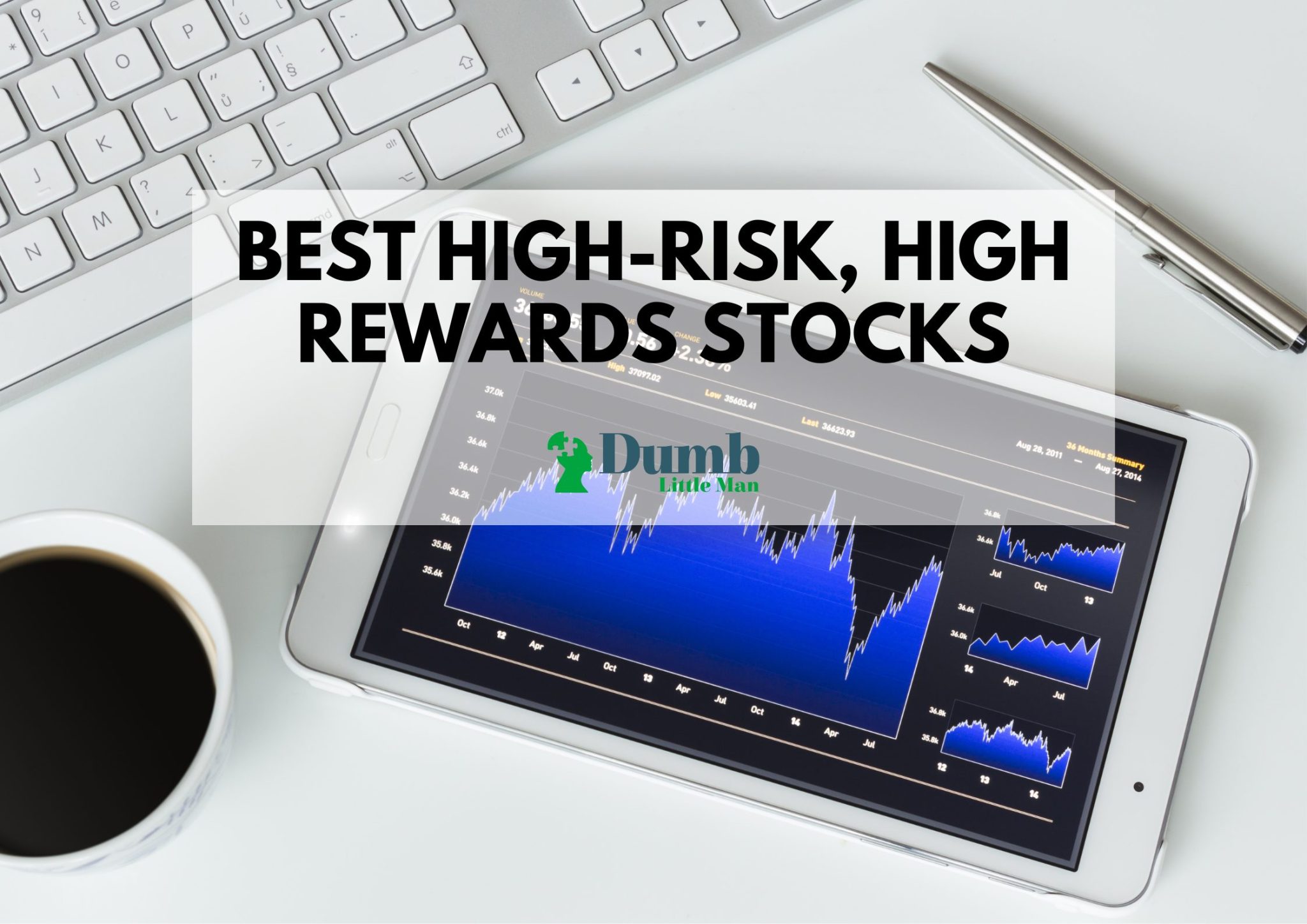 5 Best HighRisk, High Reward Stocks in 2023 • Dumb Little Man