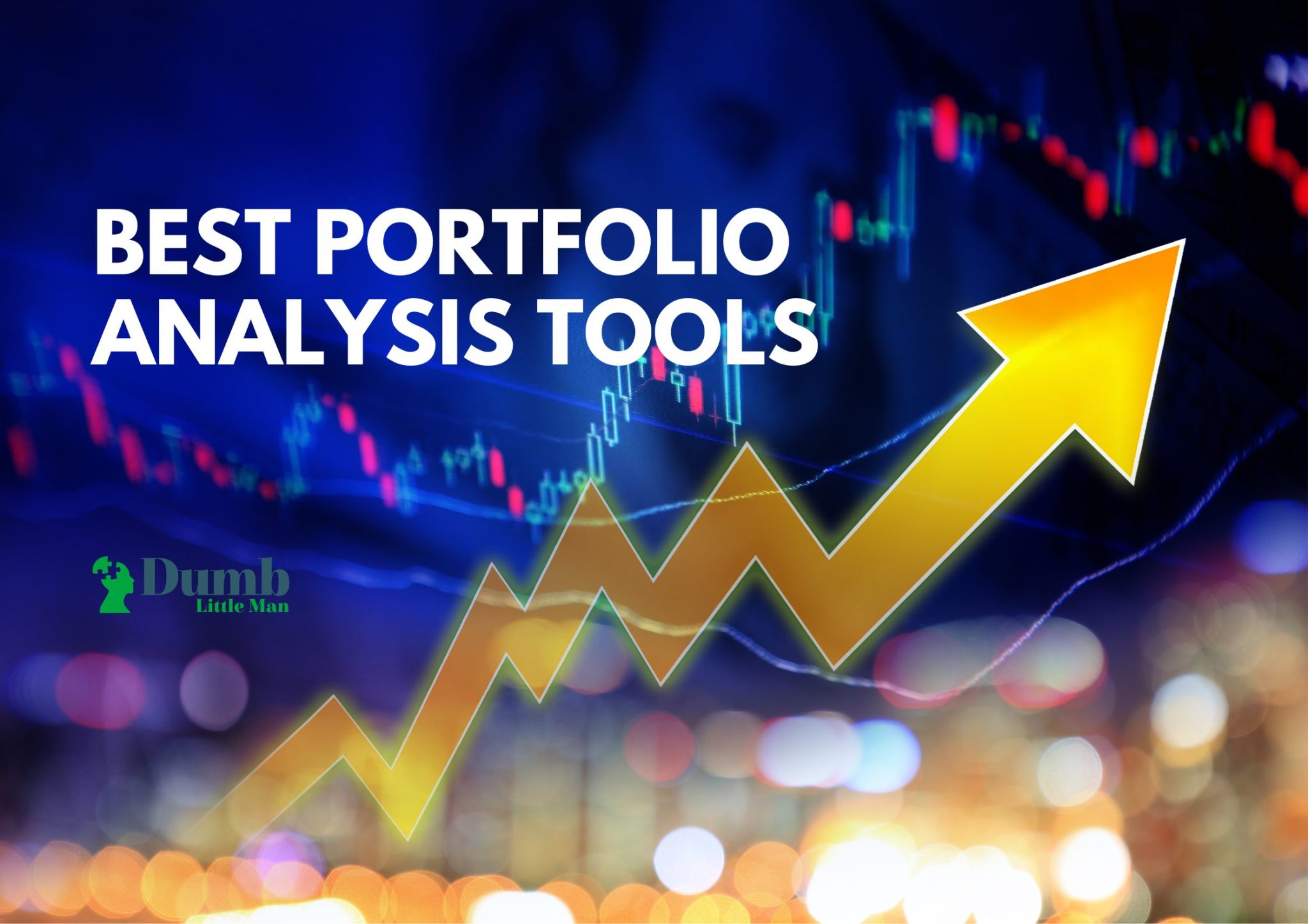 5 Best Portfolio Analysis Tools In 2024 • Dumb Little Man