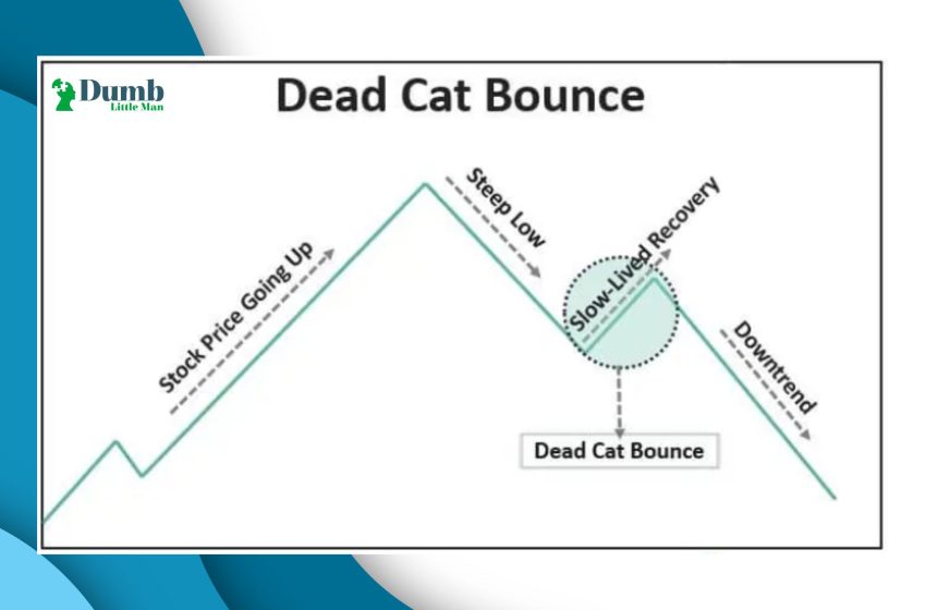 Dead Cat Bounce - Explained By An Expert 2023 • Dumb Little Man