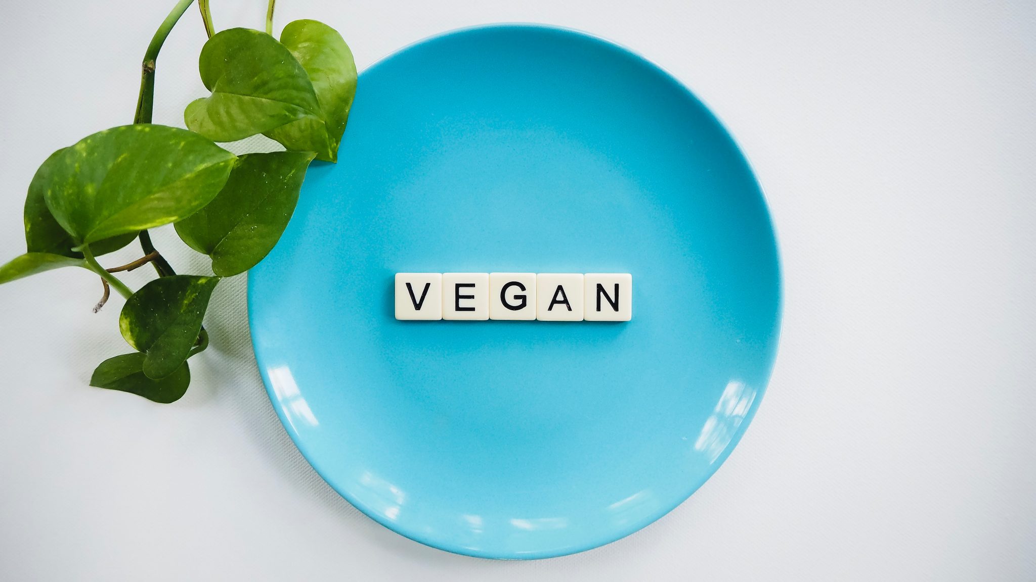 Vegan Diet Plan For Beginners Complete Guide • Dumblitteman