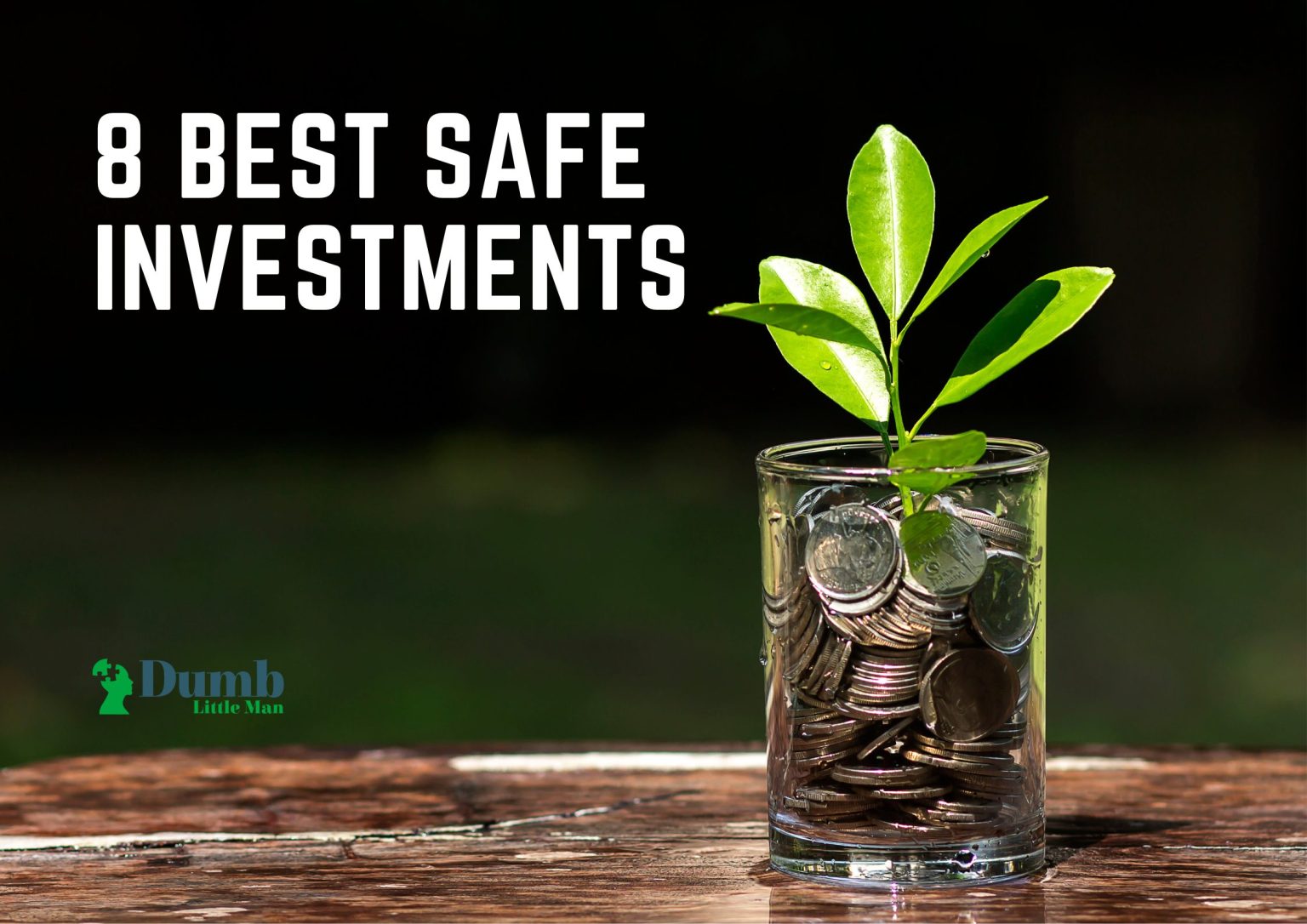 8 Best Safe Investments in 2024 • Dumb Little Man