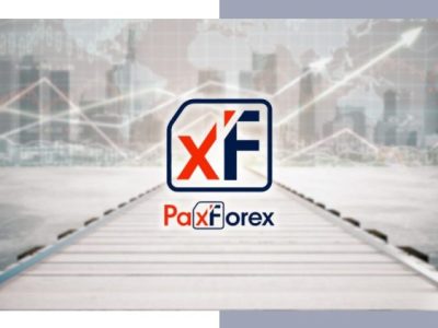 PaxForex Review by Dumb Little Man